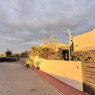 שיחים ועצים ליד בית עם דגל ישראל