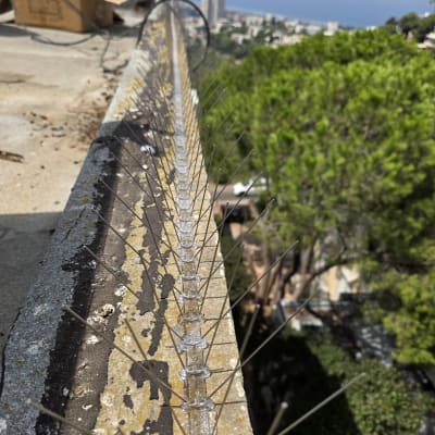 דוקרנים להרחקת יונים על גג מבנה