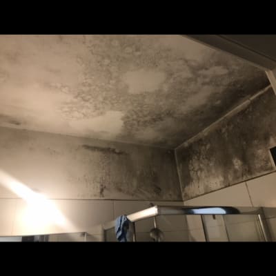 תקרה עם כתמי עובש כהים בחדר אמבטיה