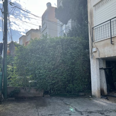 שיחים ירוקים וצמחייה בגינה עירונית