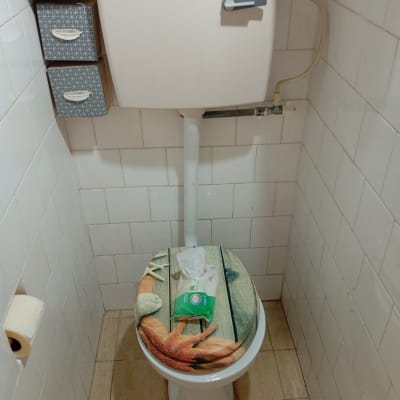 אסלה עם מכסה מעוצב ומיכל הדחה