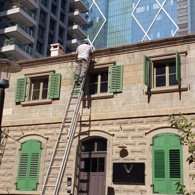 אדם על סולם מתקין אמצעי הרחקת יונים על גג בניין