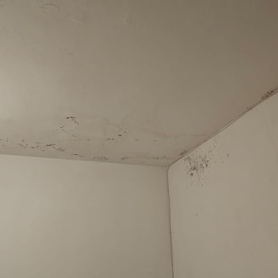 תקרה עם סימני רטיבות ועובש, מנורה תלויה