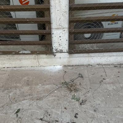 רשת מתכת על גדר עץ למניעת כניסת יונים