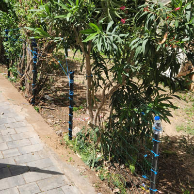 גדר רשת עם צמחים ירוקים ופרחים ורודים