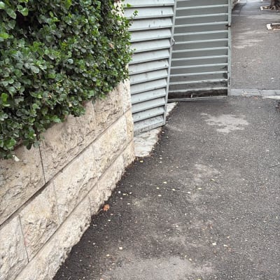 תמונה אינה מציגה עבודה בתחום