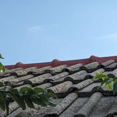 רעפים אפורים על גג עם קצה אדום