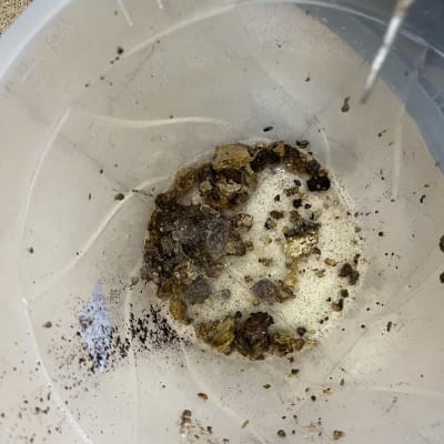 דלי עם לכלוך או פסולת, ייתכן קשור לעבודת אינסטלציה