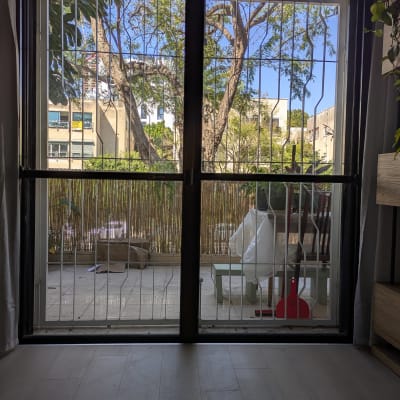 חלון עם סורגים ועצים ברקע