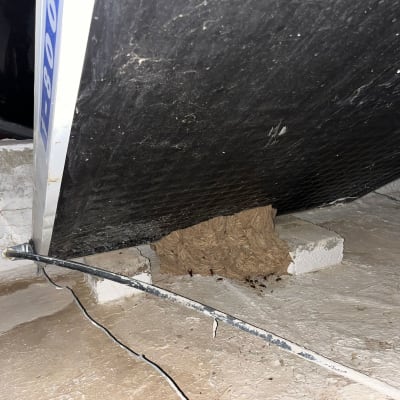 קן צרעות מתחת לגג עם חוטי חשמל גלויים