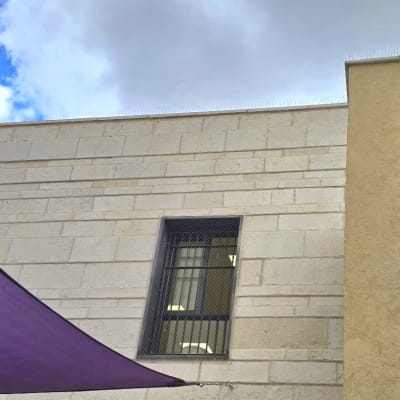 התקנת דוקרנים ורשת נגד יונים על גג וחלון מבנה