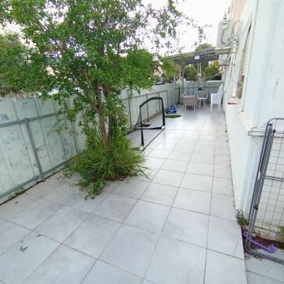 עץ קטן עם שיחים ירוקים ליד גדר בחצר מרוצפת