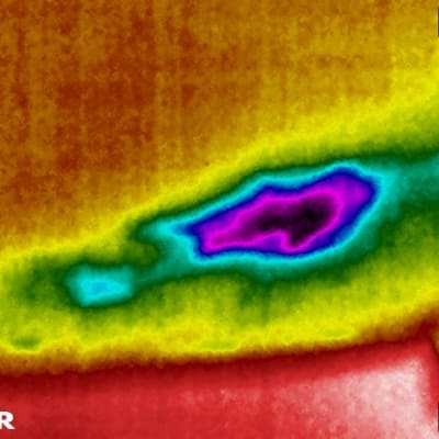 תמונת תרמית צבעונית עם אזור חם