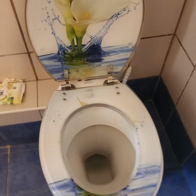 אסלה עם מכסה מעוצב בפרחים