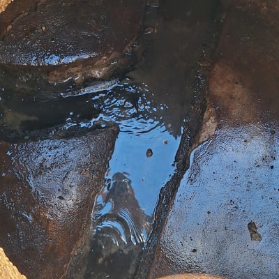 פתח ביוב עם מים עומדים ולכלוך