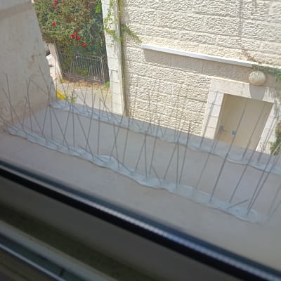 דוקרנים להרחקת יונים על אדן חלון