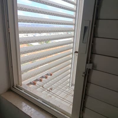 חלון עם רשת למניעת כניסת יונים
