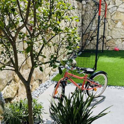 עץ קטן מוקף באבנים וצמחים ירוקים בגינה