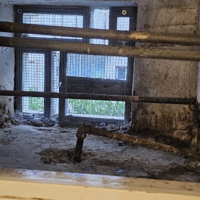 רשת מתכת על חלון למניעת כניסת יונים