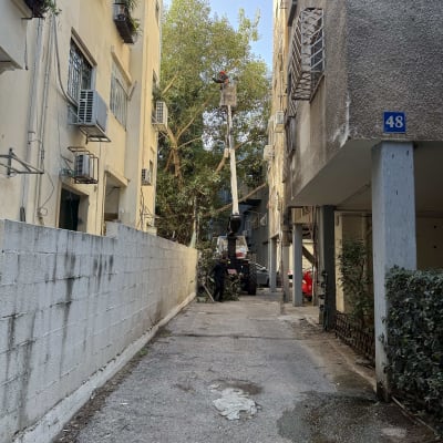עבודה בגיזום עצים עם מנוף בין בניינים