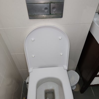 אסלה עם כתמים ולחצן הדחה כפול