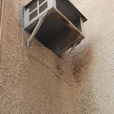 מבנה עם רשת למניעת כניסת יונים