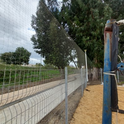 גדר רשת מתכתית ליד שביל עפר ועץ גדול