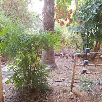 מערכת השקיה בגינה עם צינורות וברזים