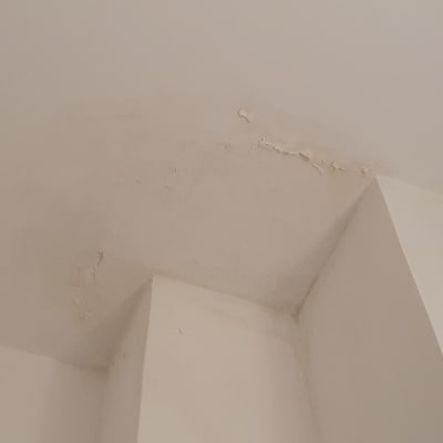 תקרה עם קילופי צבע ופגמים