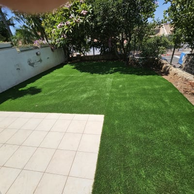 דשא ירוק מטופח עם עצים מסביב