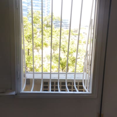 חלון עם סורגים לבנים ונוף עצים בחוץ