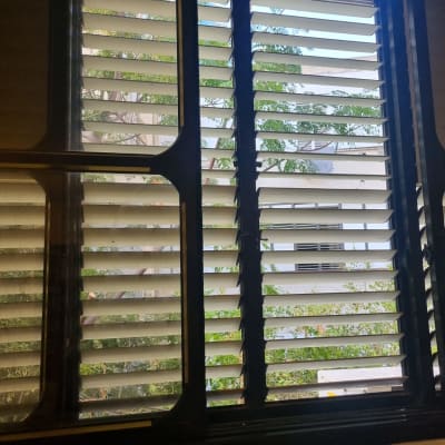 תריסים אופקיים פתוחים עם נוף עצים בחוץ