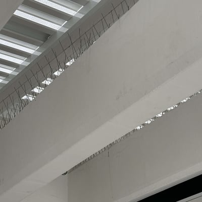 דוקרנים למניעת יונים על קורות תקרה