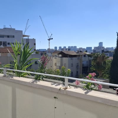 מרפסת עם צמחים ונוף עירוני ברקע