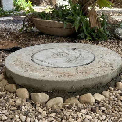 מכסה ביוב מוקף באבנים קטנות וצמחייה