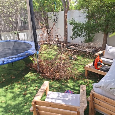 מפוח עלים כתום על דשא מלאכותי ליד ענפים יבשים