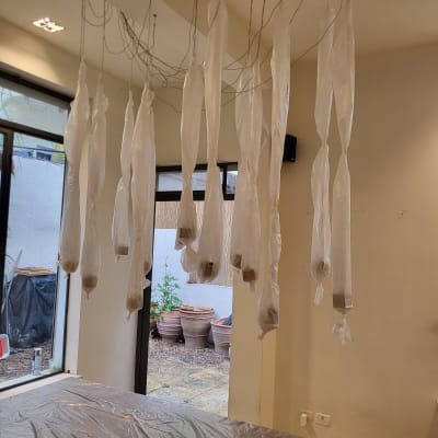 מברשות צבועות תלויות לייבוש על חוטים