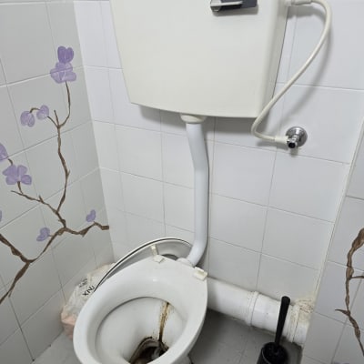 אסלה עם ניאגרה ומברשת שירותים