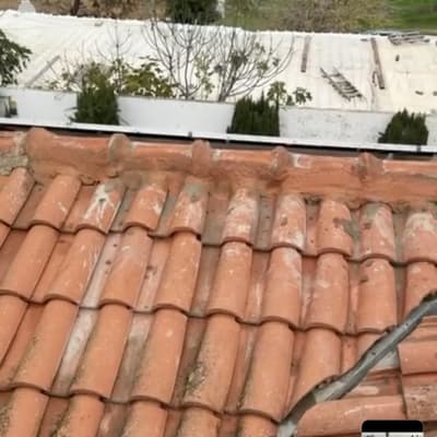 גג רעפים אדום עם נוף של עצים ושדות ברקע