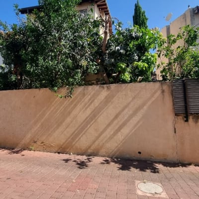 קיר עם צמחייה ועצים ברקע ביום שמשי