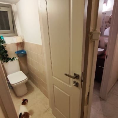 דלת לבנה עם ידית מתכת בחדר אמבטיה