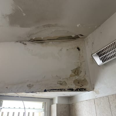 תקרה עם סימני רטיבות ועובש ליד חלון