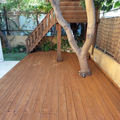 דק עץ עם עץ גדול ובית עץ קטן