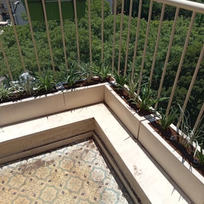 עציצים ושתילים על מרפסת עם מעקה ברזל