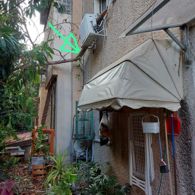 ענף עץ עם חץ ירוק מצביע עליו לגיזום