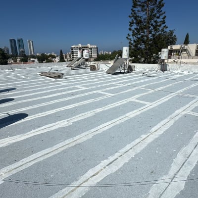 גג עם איטום לבן ודודי שמש