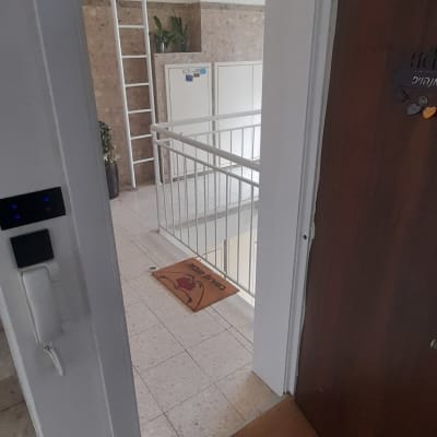 סולם לבן ליד קיר עם צמח ירוק