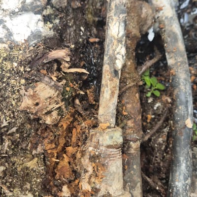 צינורות ישנים עם חלודה ונזילה באדמה