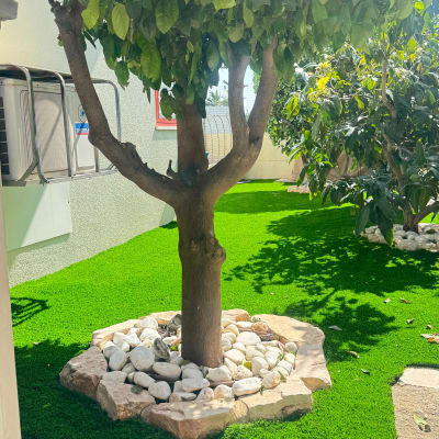 עץ מוקף באבנים ודשא סינטטי בגינה