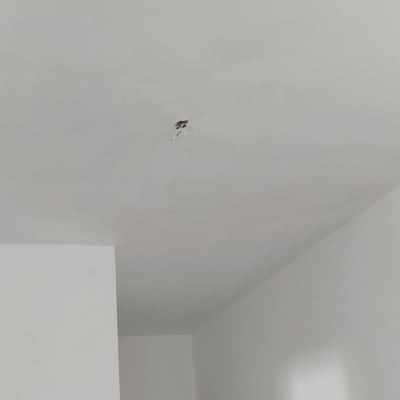 חוטים חשמליים יוצאים מתקרה לבנה